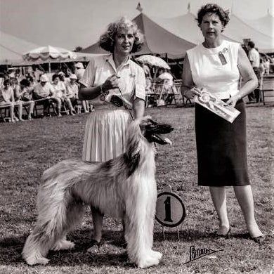 The Eye of the Beholder